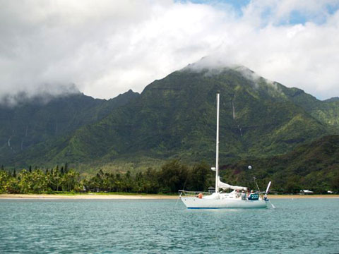 Wildflower at rest in Hanalei Bay