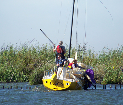 Legs on the pilings