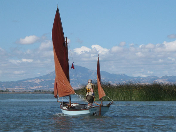 Willet sets sail