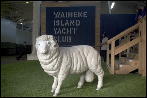 WaihekeYC sheep
