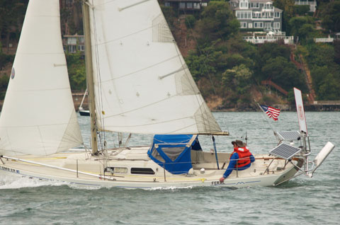 Feral in the 2008 Singlehanded TransPac