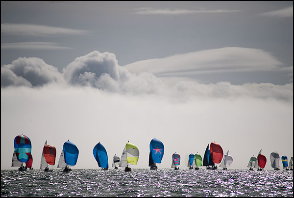 spinnakers out of the fog