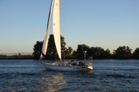 CAW_9503