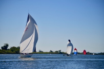 NCS_2805