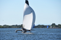 CAW_9463